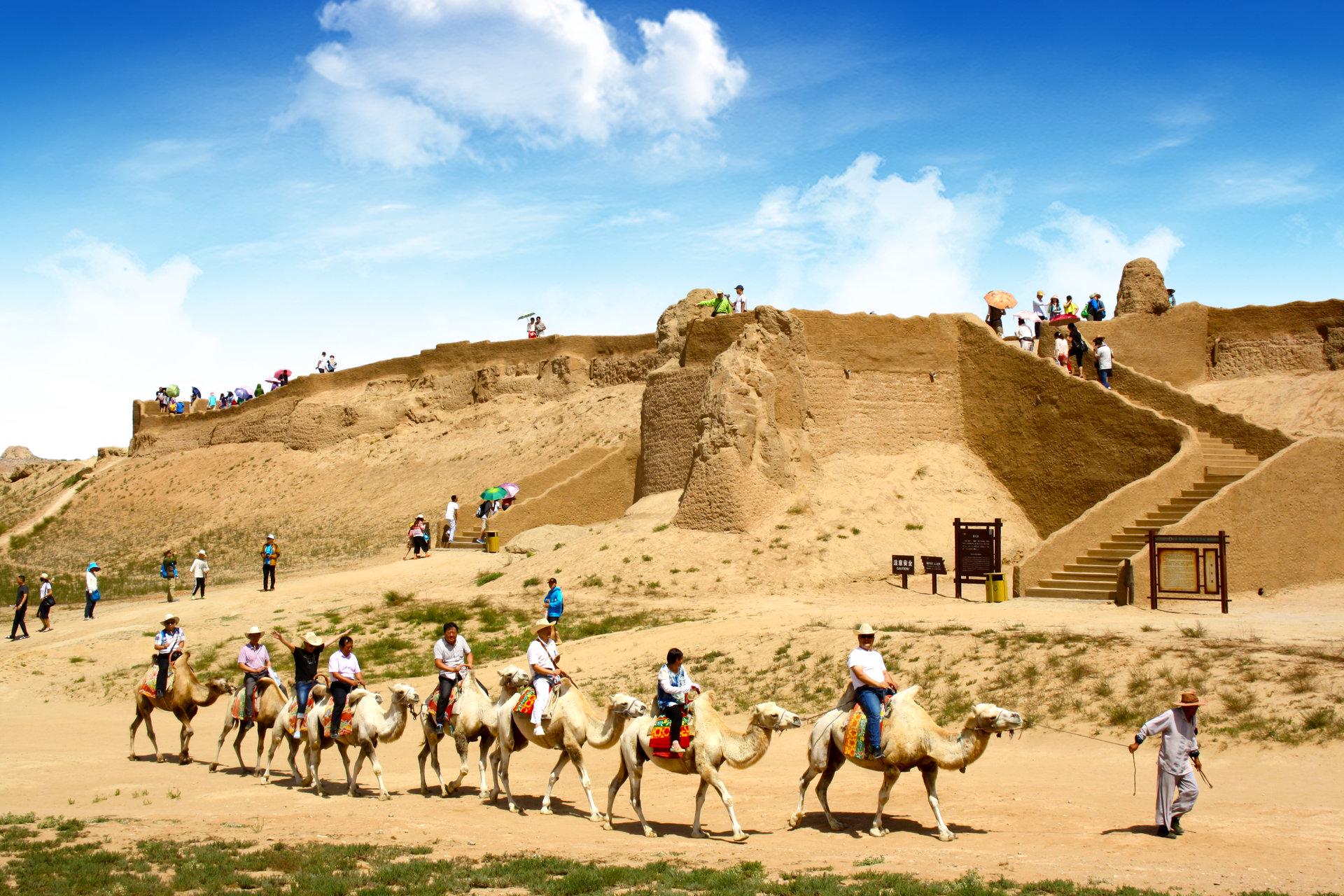 探寻宁夏塞上江南的多元魅力